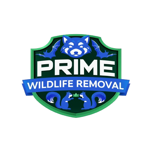 Clinton County Wildlife Removal